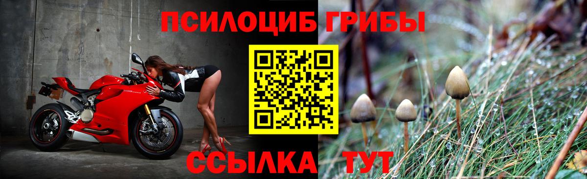 Псилоцибиновые грибы прущие грибы Кувандык