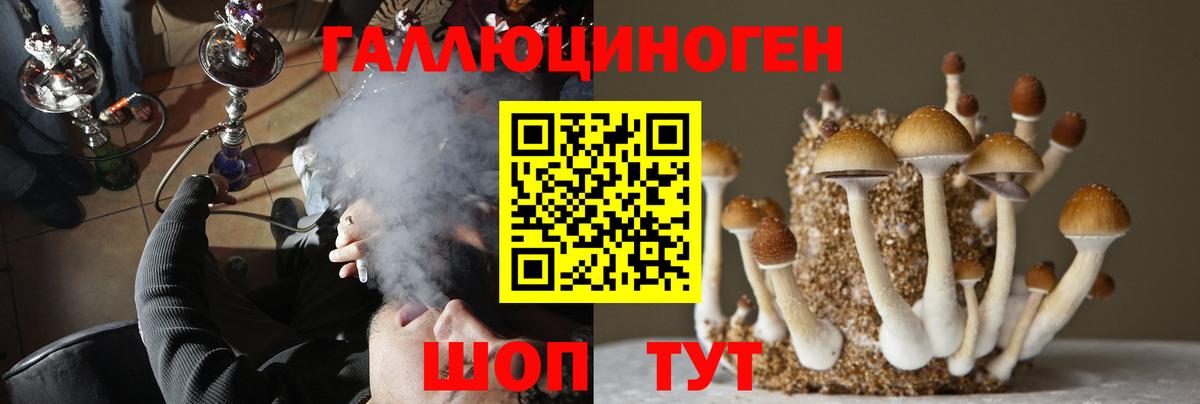 Галлюциногенные грибы Psilocybine cubensis  Вход с VPN  наркошоп  Кувандык  Псилоцибиновые грибы ЛСД 